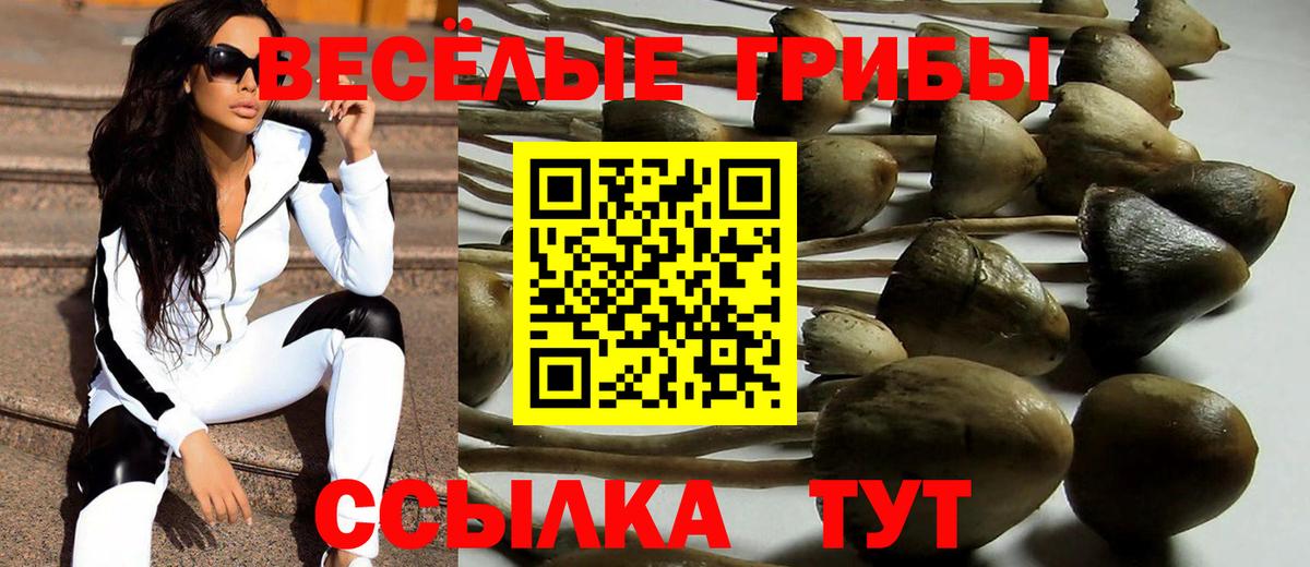 Галлюциногенные грибы Cubensis  Псилоцибиновые грибы MAGIC MUSHROOMS  Михайловск  Вход с VPN 